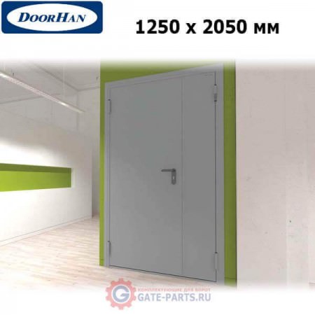 DTG/1250/2050/7035/L/N Doorhan Дверь техническая 1250х2050 двухстворчатая, глухая, левая (шт.)