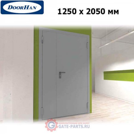 DTG/1250/2050/7035/R/N Doorhan Дверь техническая 1250х2050 двухстворчатая, глухая, правая (шт.)