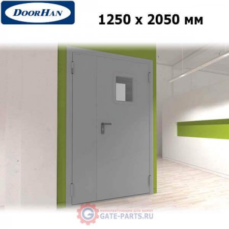 DTO1/1250/2050/7035/R/N Doorhan Дверь техническая 1250х2050 двухстворчатая, остекленная, правая (шт.)